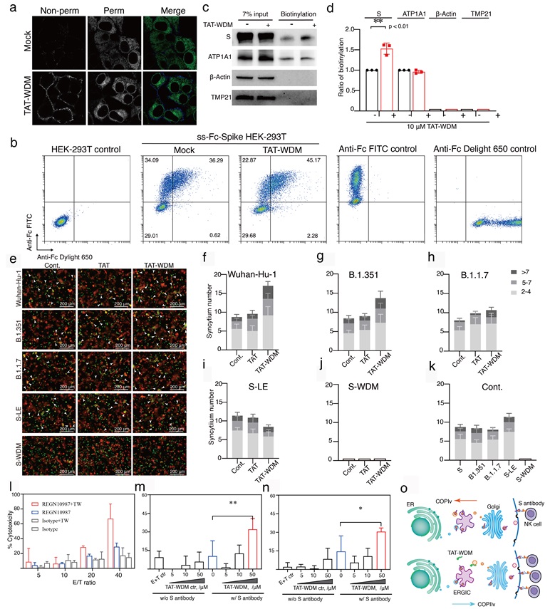 1681977529014099999.jpg 1681977529014099999.jpg