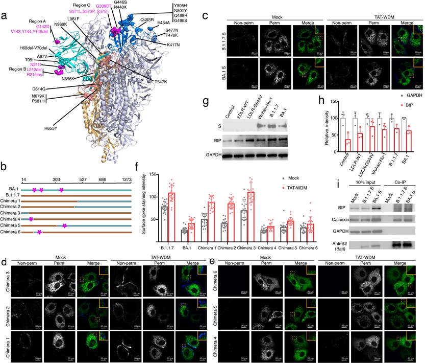 1681977580578066396.jpg 1681977580578066396.jpg