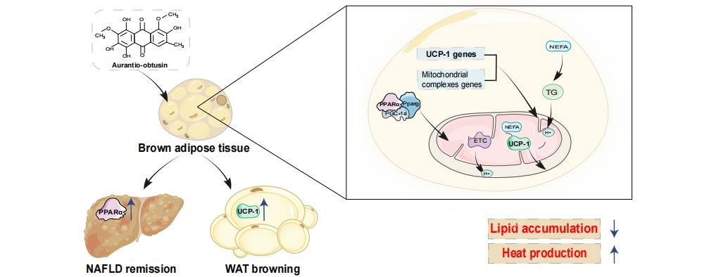 1683254024092034360.jpg 1683254024092034360.jpg