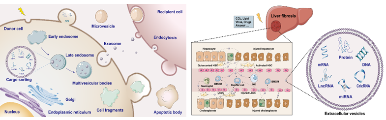 1664869385366053332.png 1664869385366053332.png