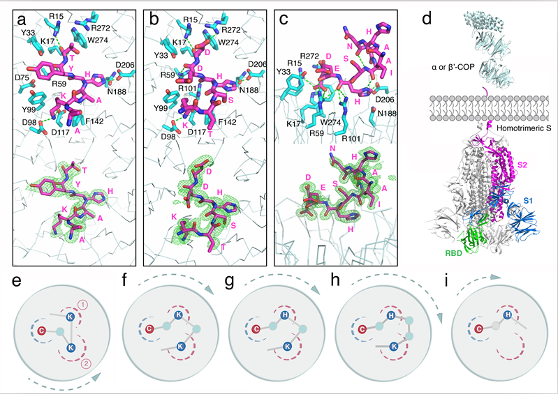 1681977401540068662.png 1681977401540068662.png