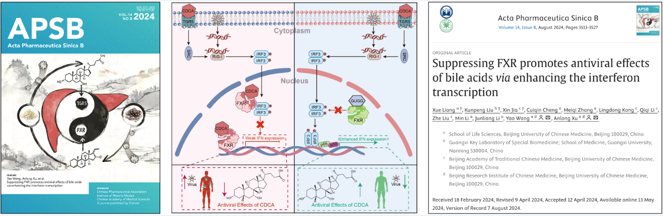 1723165599810027783.png 1723165599810027783.png