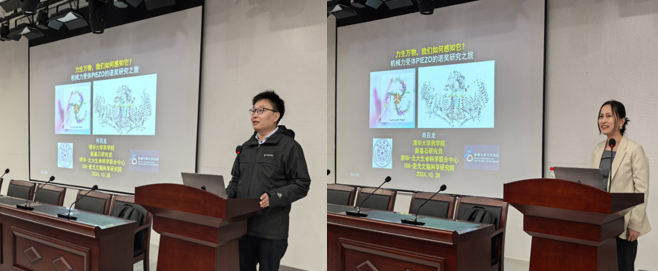 1730327490537049802.png 1730327490537049802.png